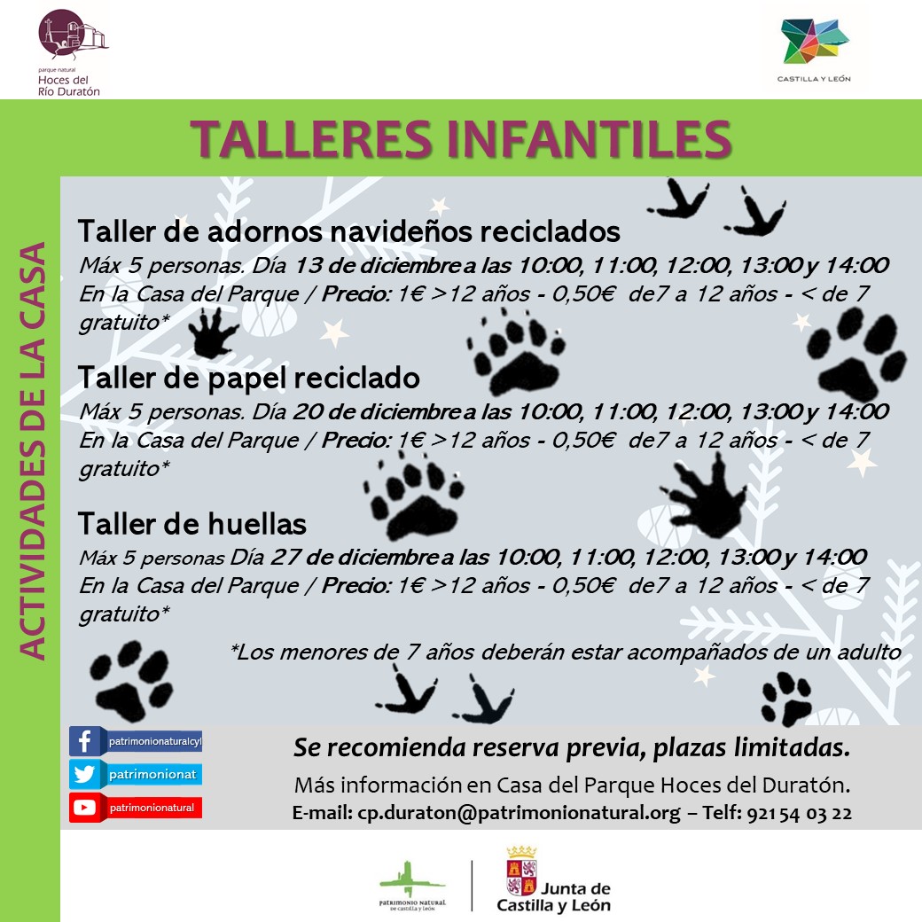 Talleres infantiles CP Duraton diciembre