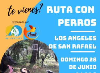 Ruta con perros 324x235