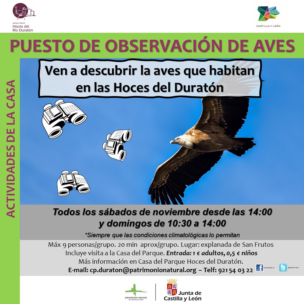 Puesto observación de aves San Frutos