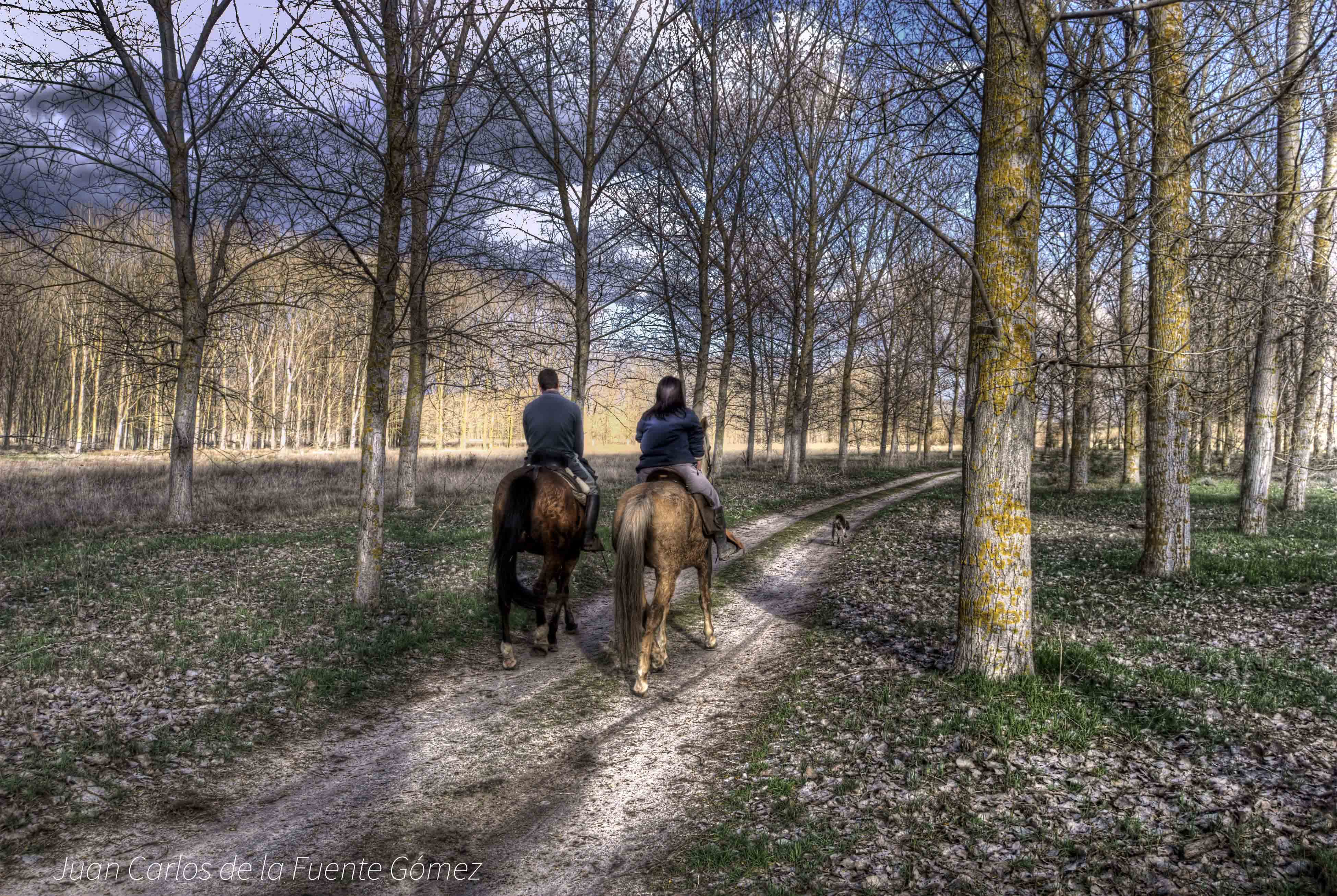 Juan Carlos de la Fuente Gómez p 7 paseo a caballo por el espadañal