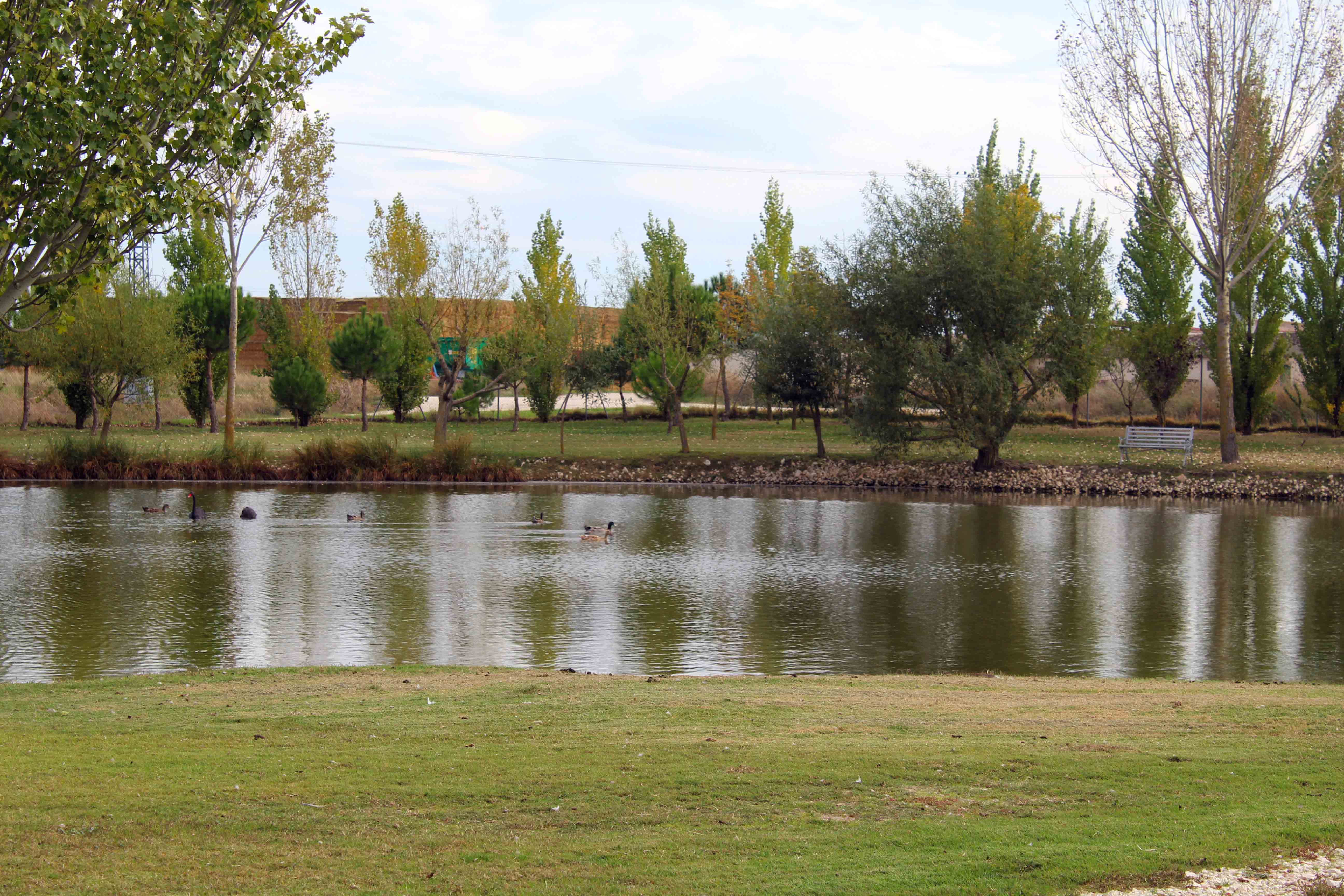 DETALLE AVES LAGUNA DEL TIO ALBERTO NARROS DE CUELLAR retocada 