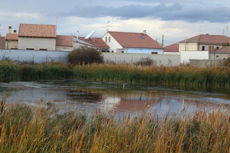 LAGUNAS UTILIZADAS COMO PISCIFACTORIAS A LA ENTRADA DEL PUEBLO POR SEGOVIA SANCHONUÑO edited