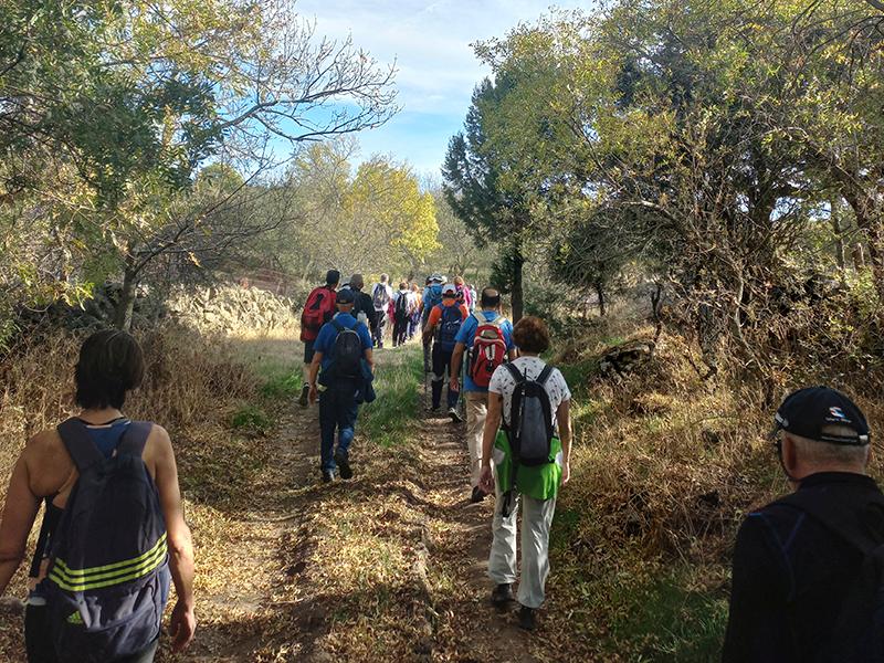 20221016_Camino_de_San_Frutos_3_etapa_slide.jpg