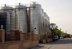 Bodegas_Cerrosol_1.jpg