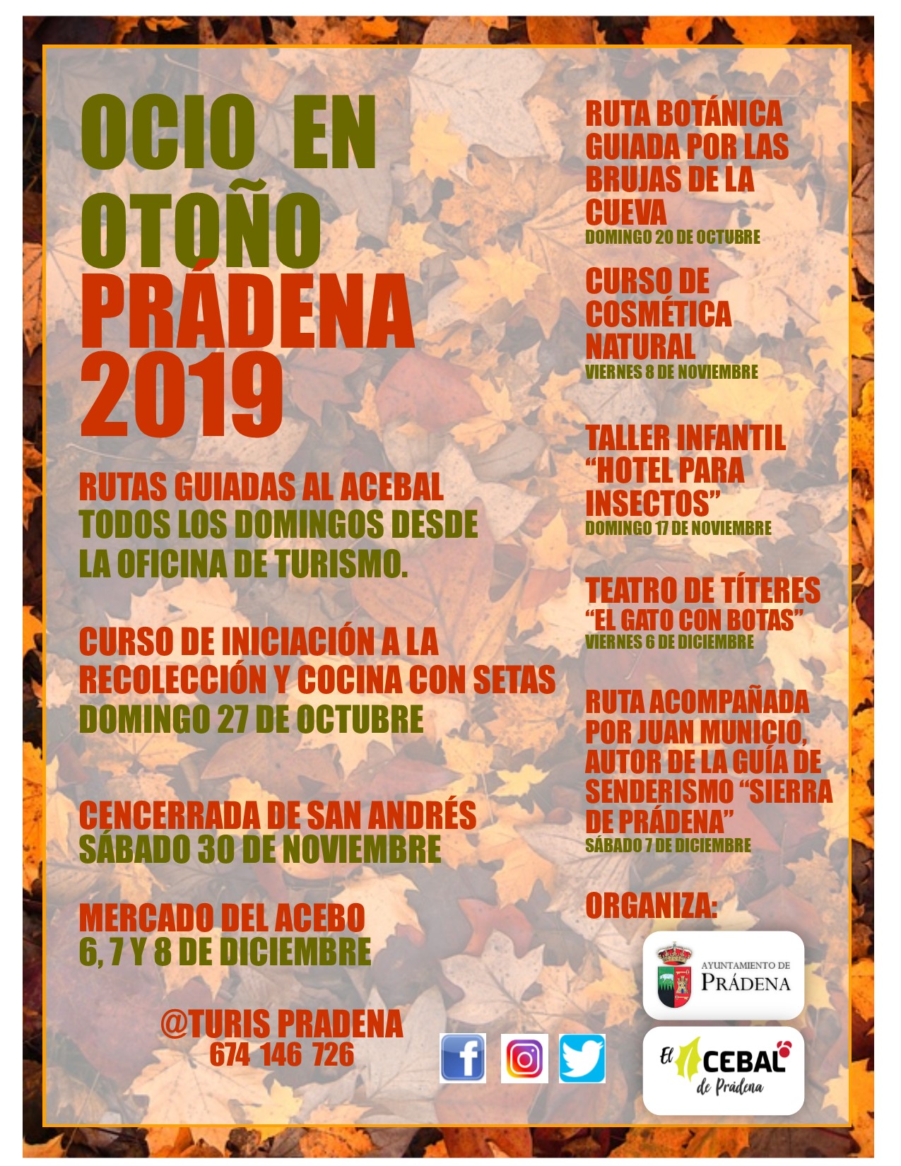 CARTEL OCIO OTOÑO 2019