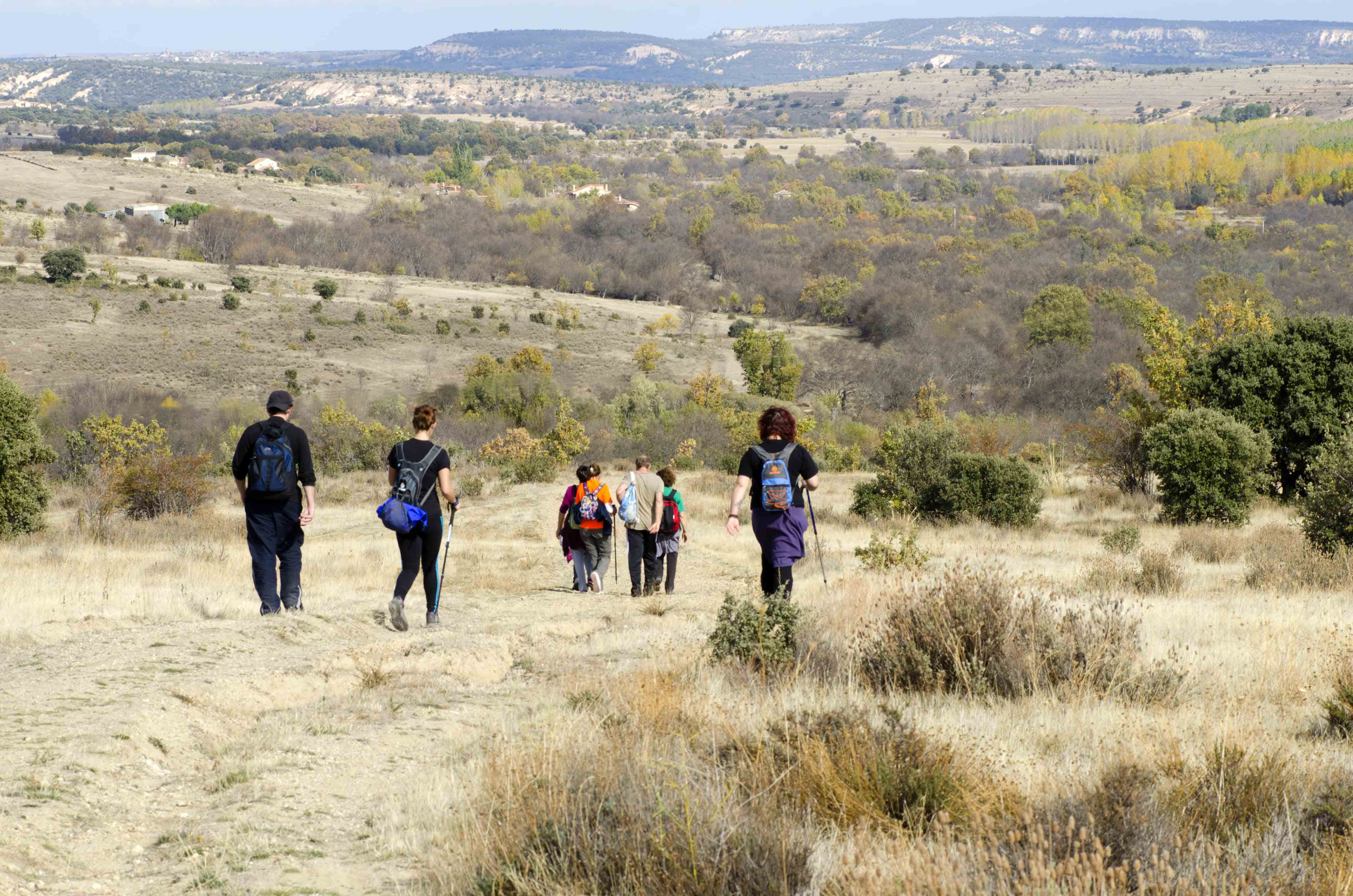 Camino_San_Frutos-min.jpg