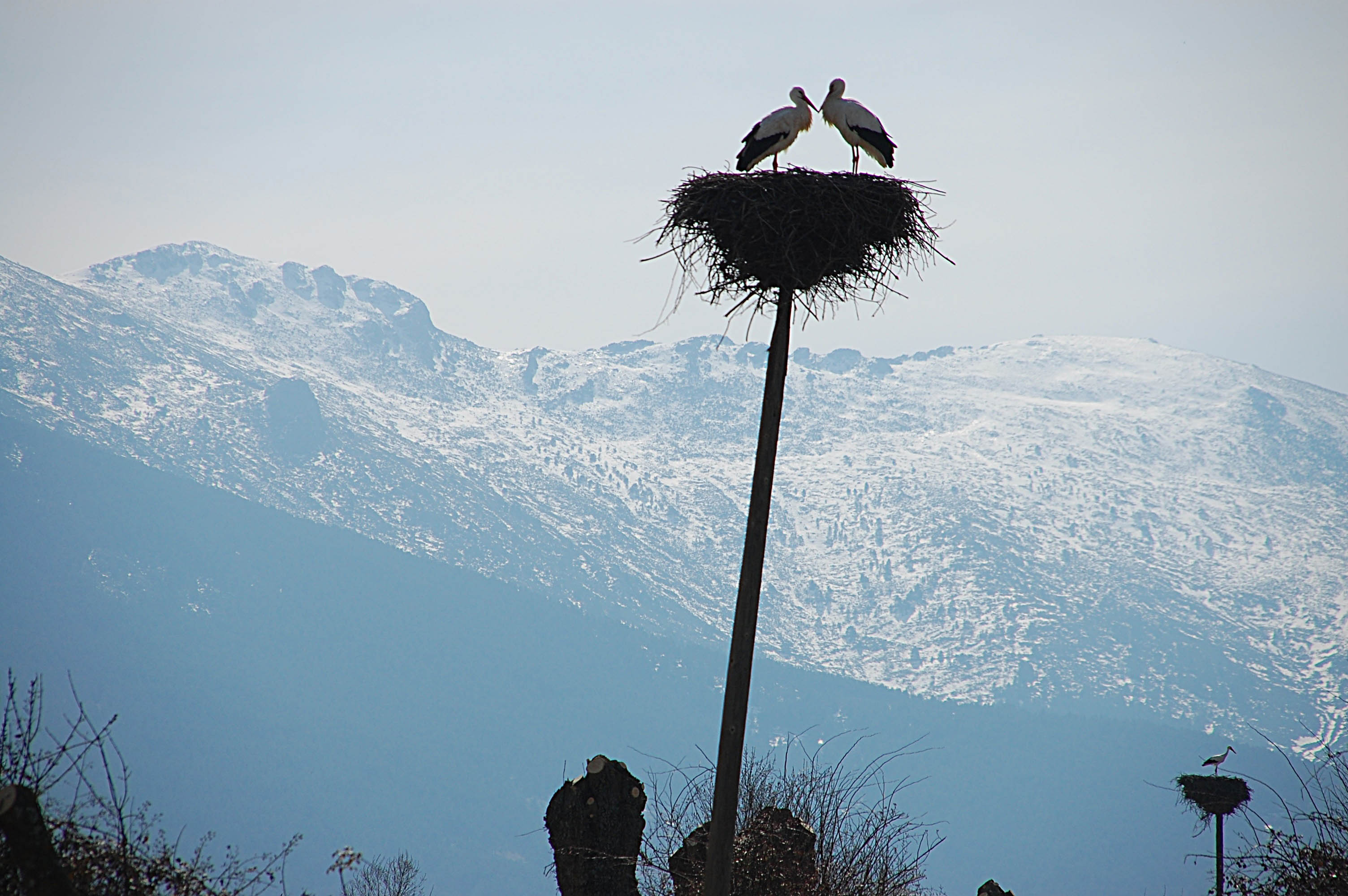 Guadarrama.jpg