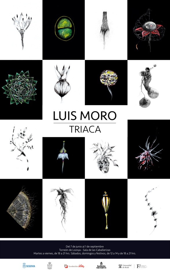 luis moro triaca