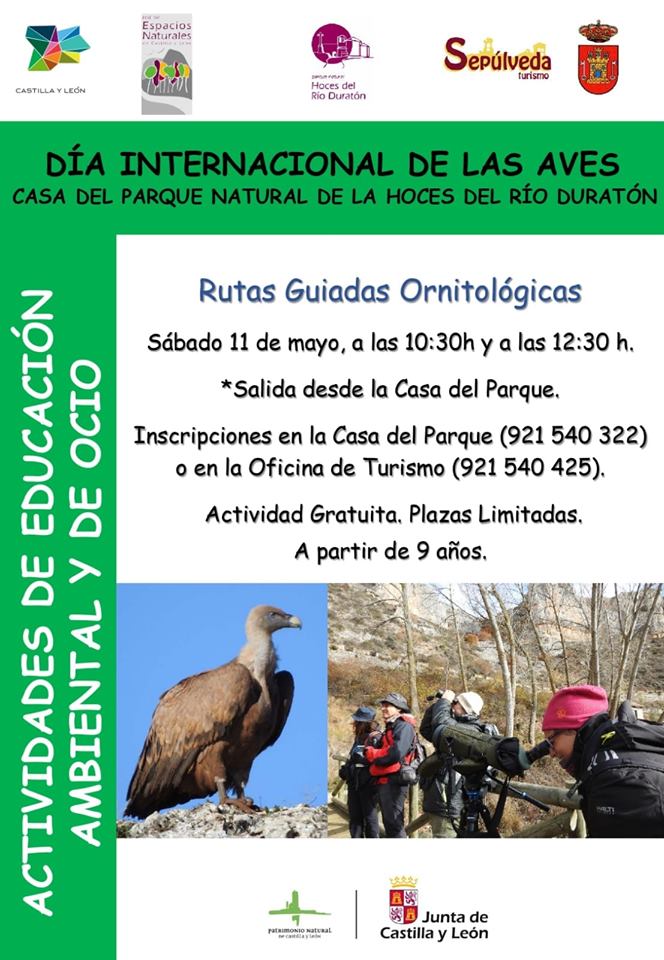 dia internacional aves 19