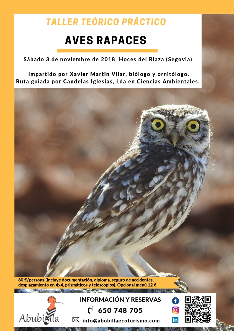 taller aves rapaces