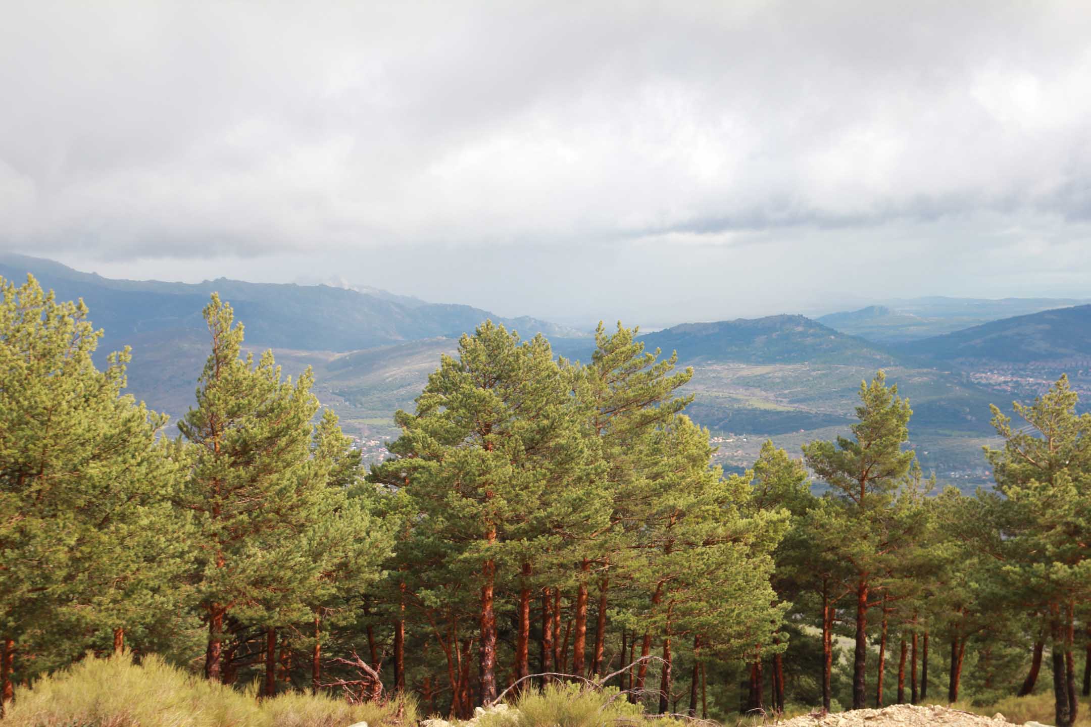 Parque_Natural_Sierra_Norte_de_Guadarrama_10.jpg