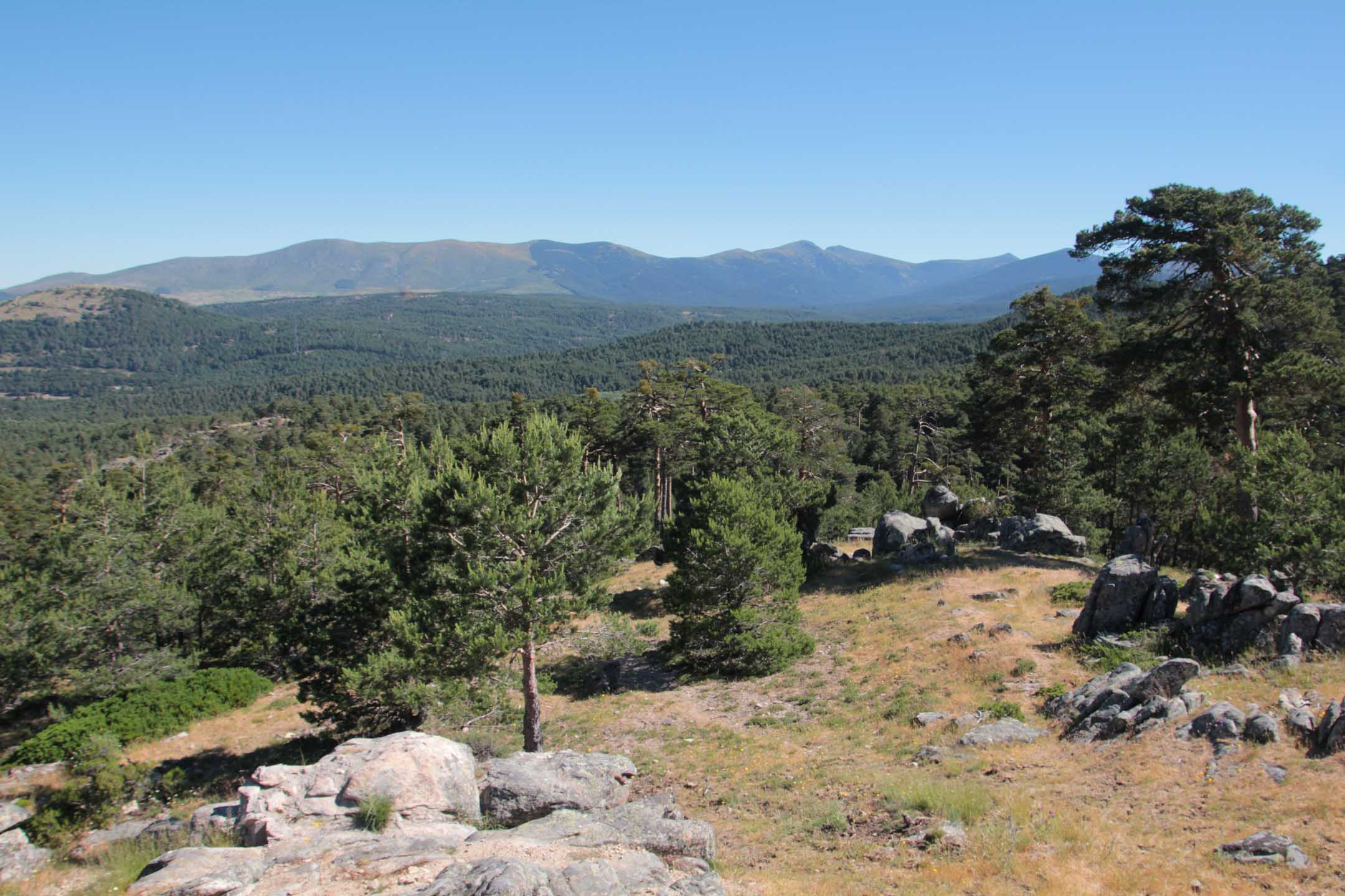 Parque_Natural_Sierra_Norte_de_Guadarrama_25.jpg