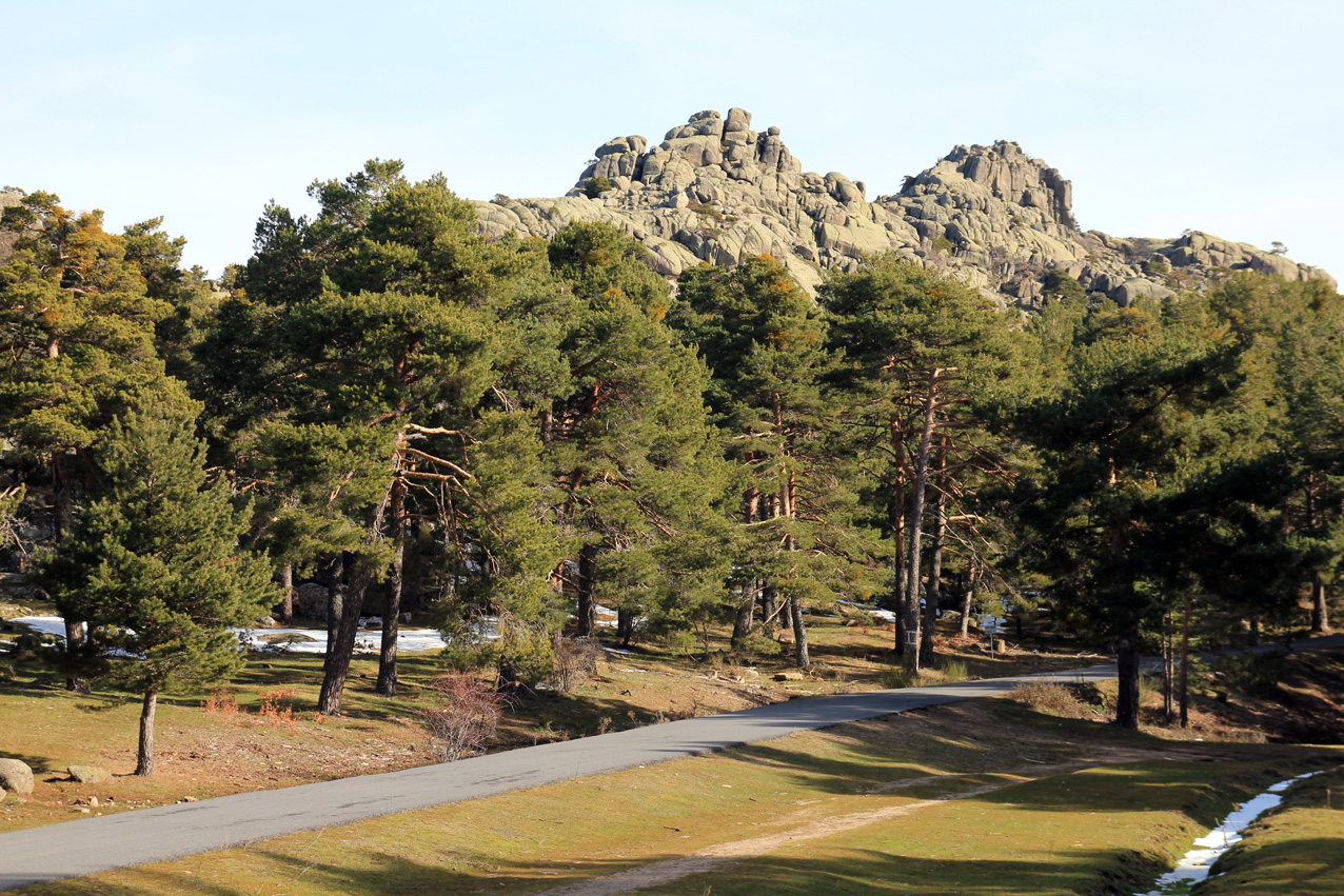 Parque_Natural_Sierra_Norte_de_Guadarrama_6.jpg