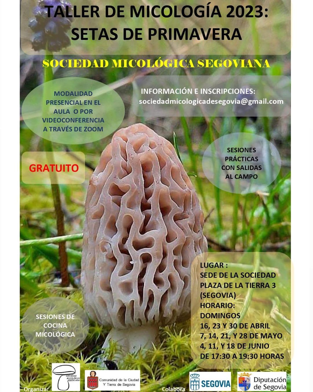 Taller-gratuito-de-Micologia-2023-Setas-de-Primavera.jpg