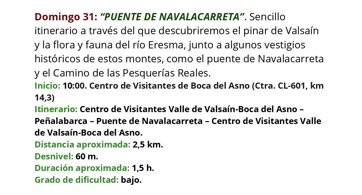 ceneam-verano-2025_31agosto.jpg