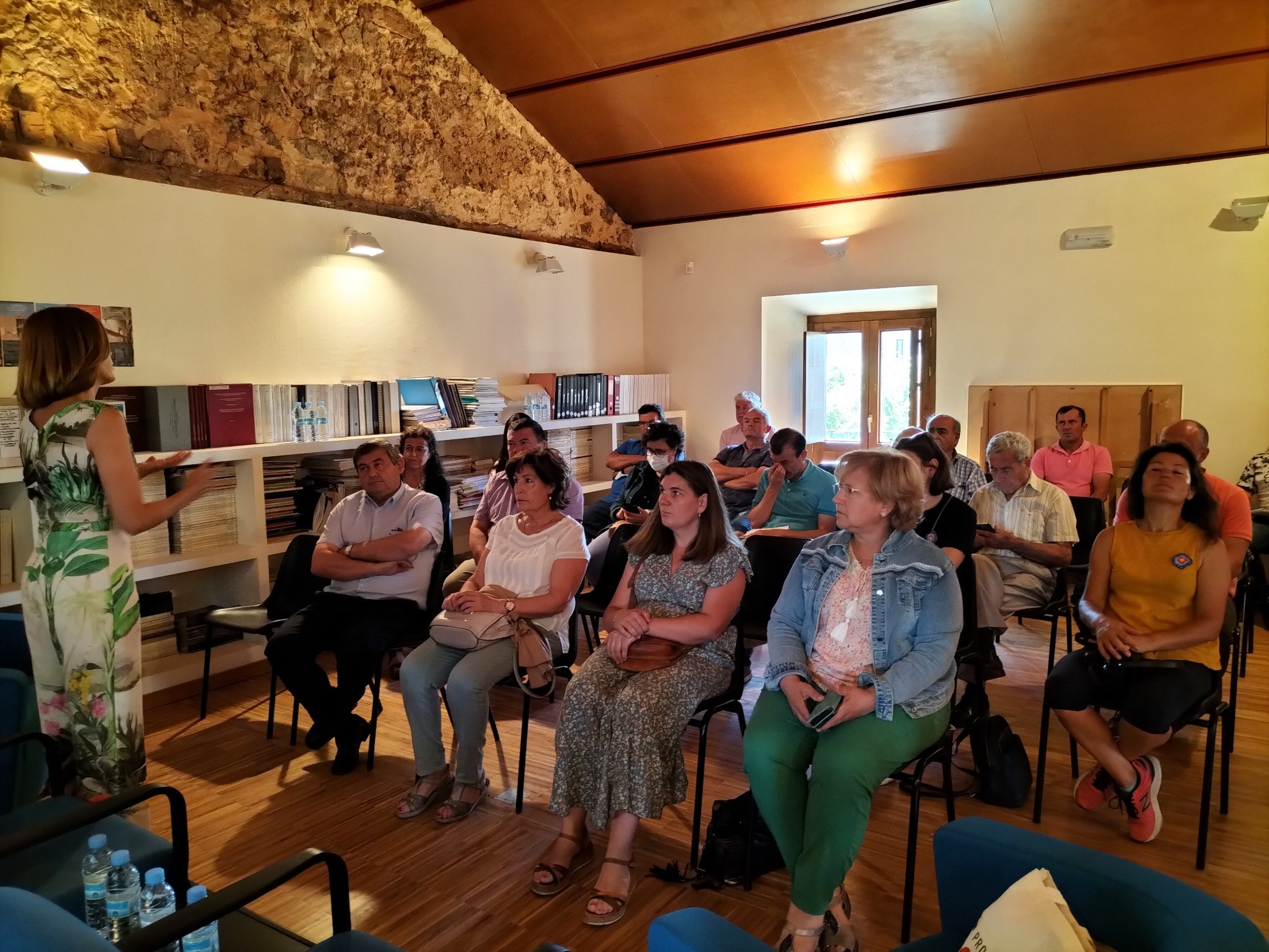 Los alcaldes de los municipios en los que se desarrollará el Plan de Sostenibilidad Turística de la Diputación conocen sus detalles en una reunión celebrada en Boceguillas