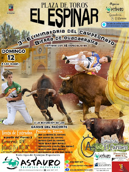 recortes_plaza_toros_el_espinar.jpeg