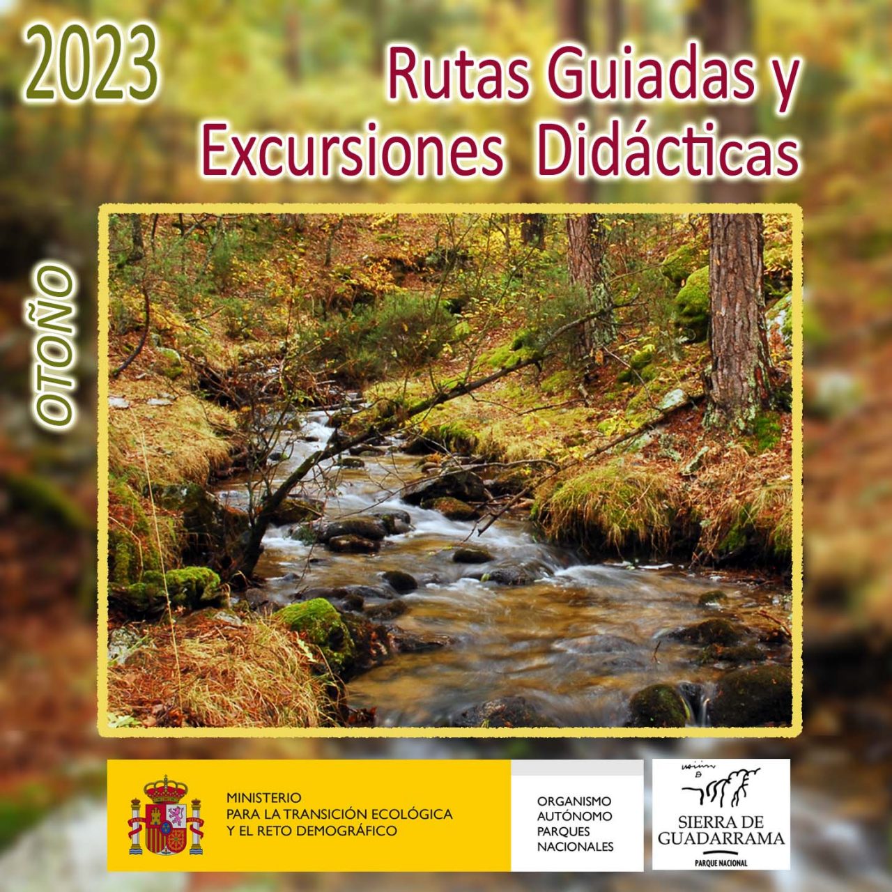 rgyed-o-2023-portada.jpg