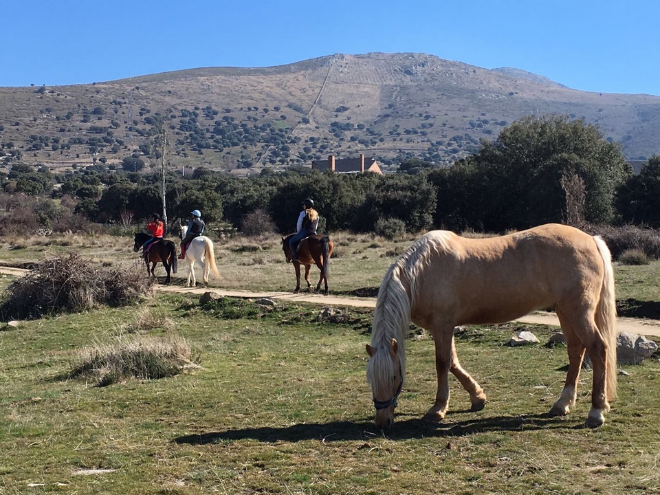 CENTRO ECUESTRE ARRE CABALLO