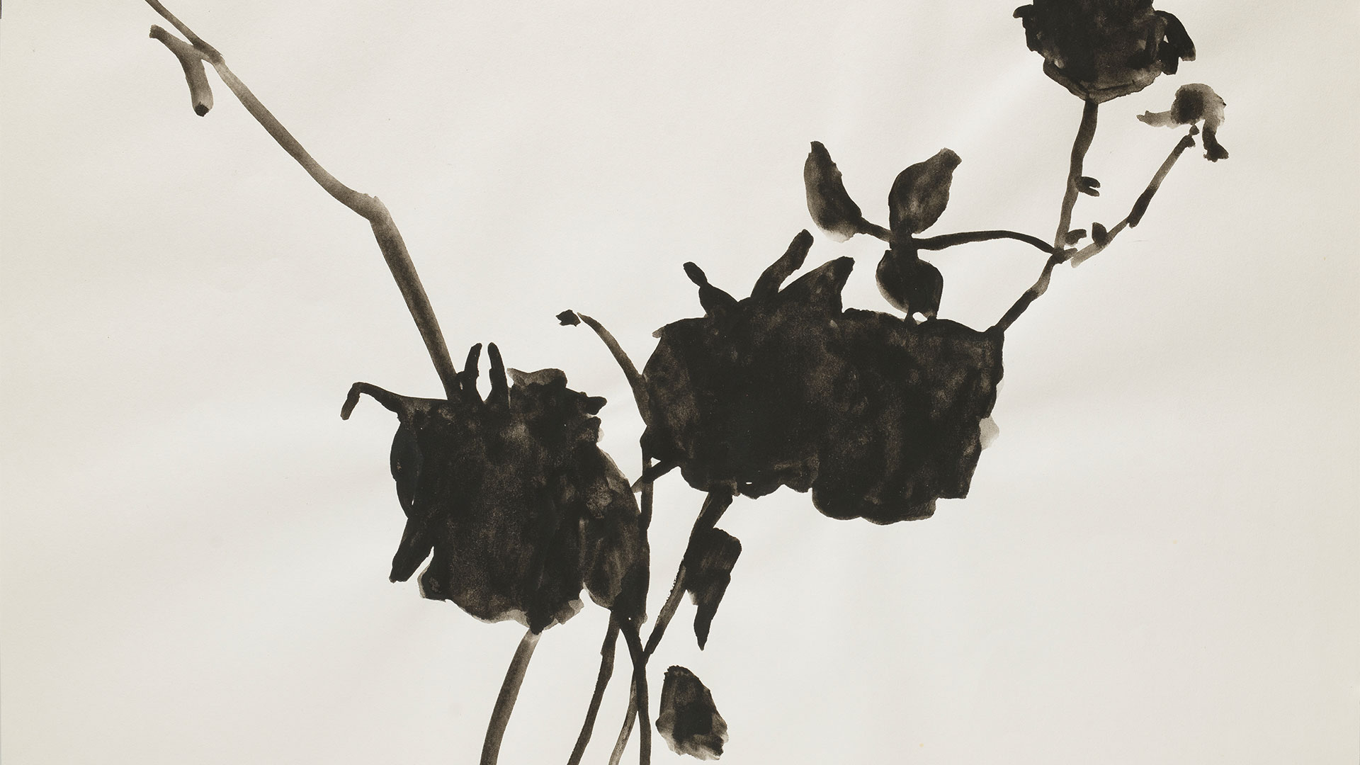 Exposición: "Mujer, montaña, calavera, rosa" - Palacio Quintanar Segovia