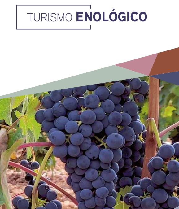 Turismo Enológico