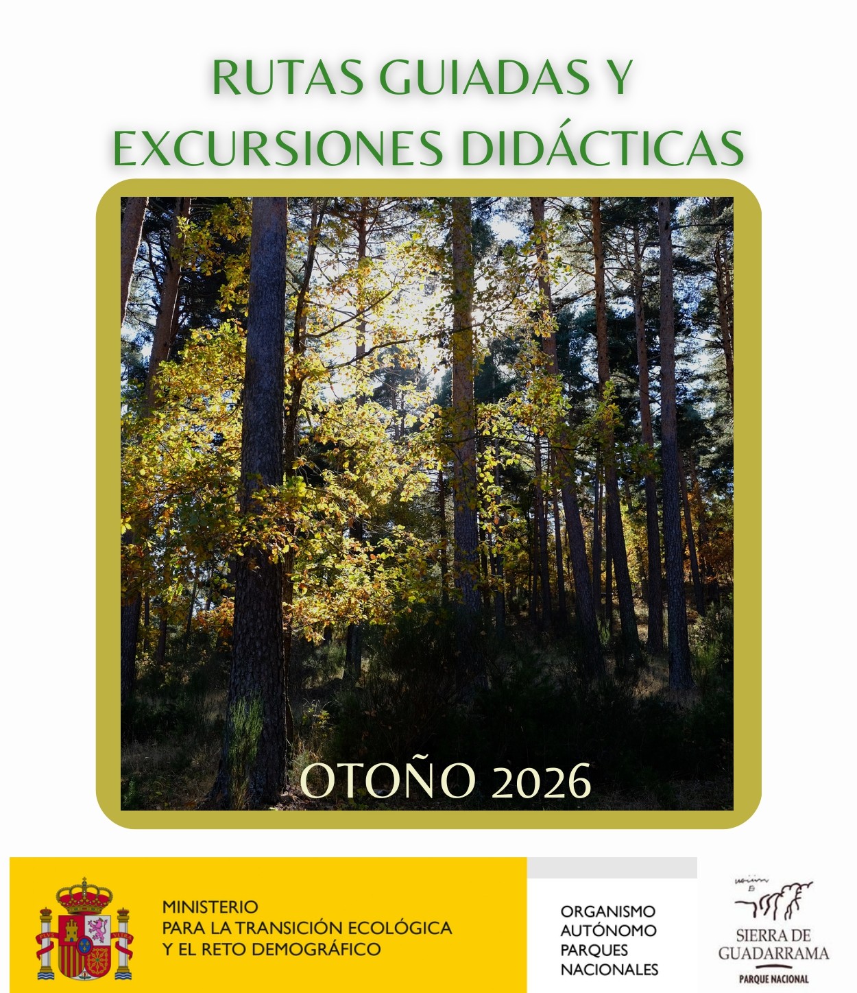 Rutas Guiadas, Sierra de Guadarrama. Otoño´26 - “SILLA DEL REY"