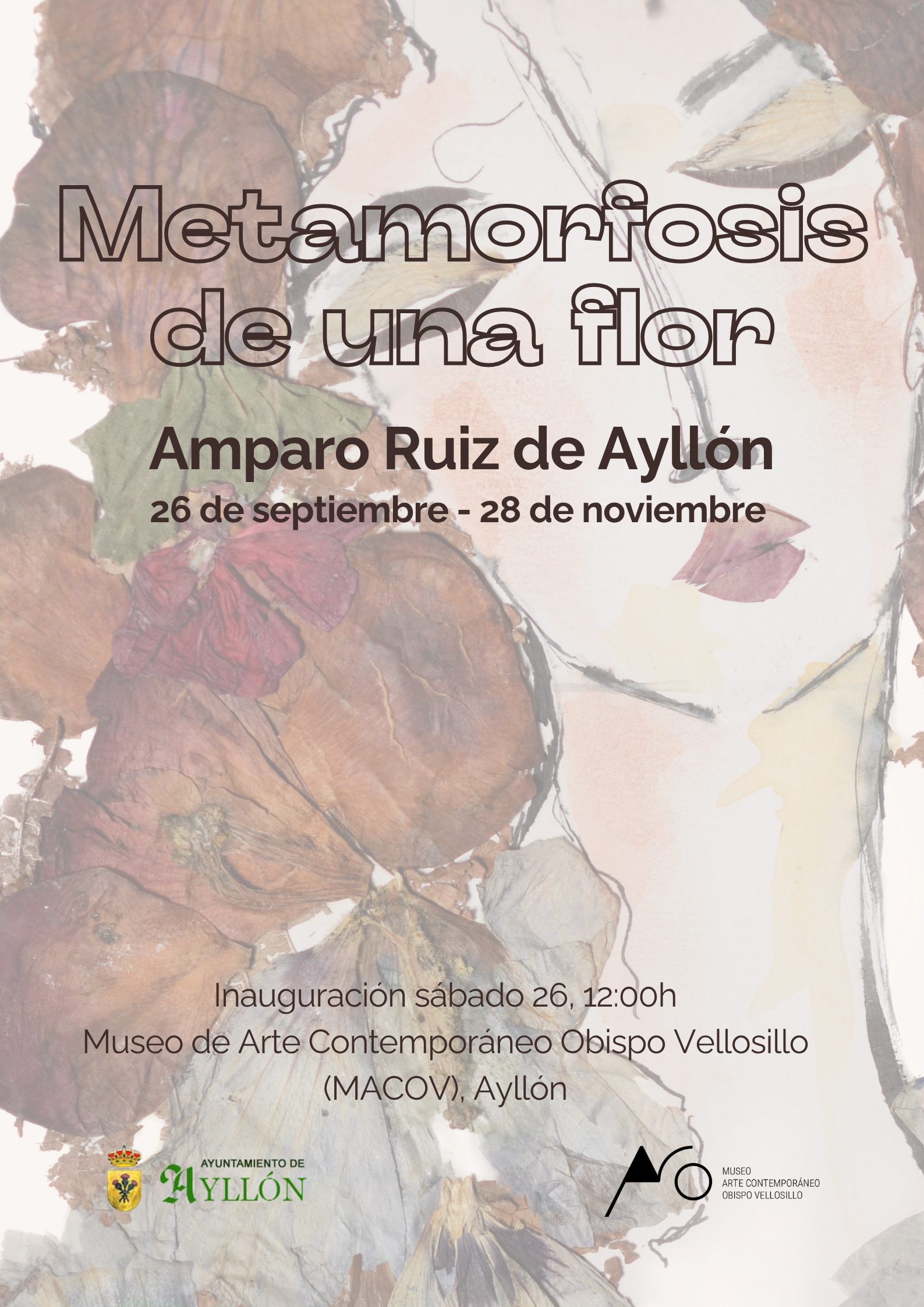 Exposición de arte "Amparo Ruiz" - Ayllón