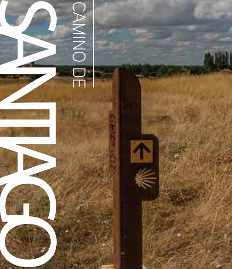 Camino de Santiago