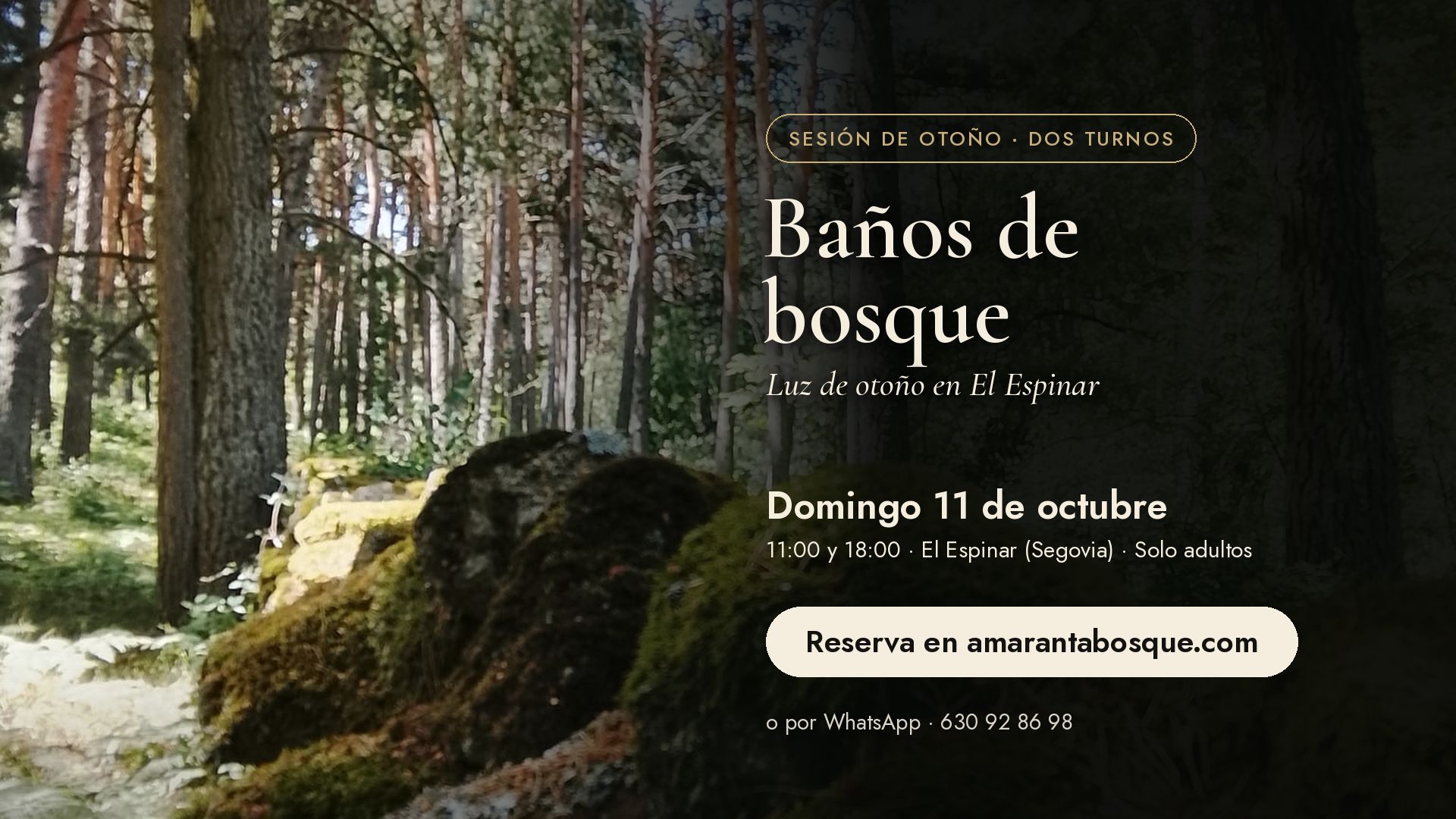 Baño de bosque con luz de otoño - El Espinar
