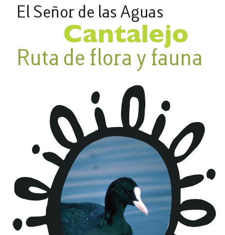 El Señor de las Aguas - Cantalejo