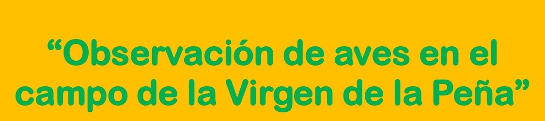 “Observación de aves en el campo de la Virgen de la Peñ a ” - Sepúlveda