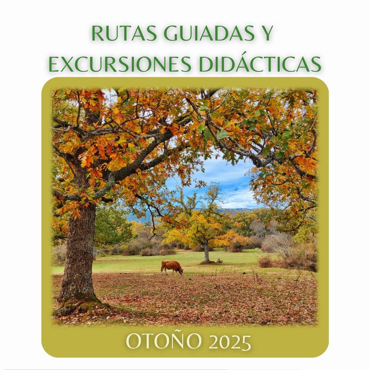 Excursiones didácticas - "Árboles y paisajes de Valsaín".