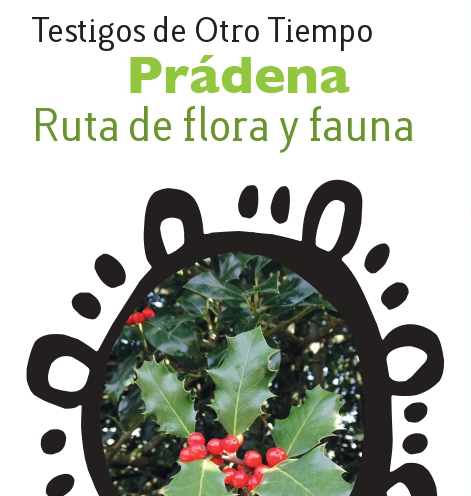 Testigos de Otro Tiempo - Prádena