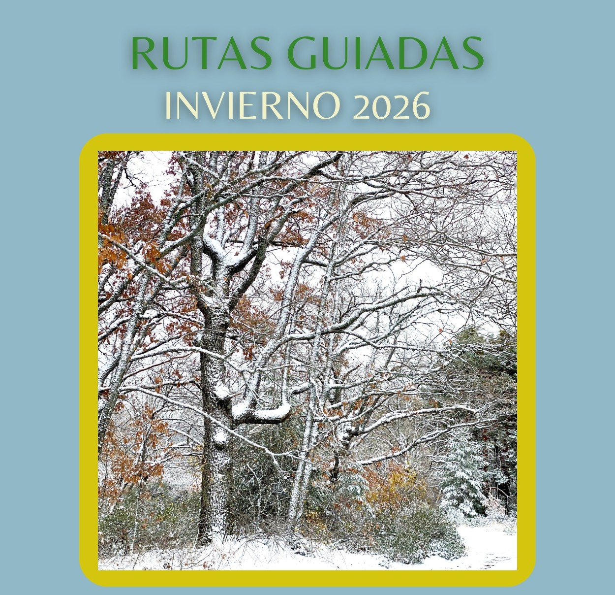 Rutas Guiadas PN Sierra de Guadarrama - El puente del anzolero -