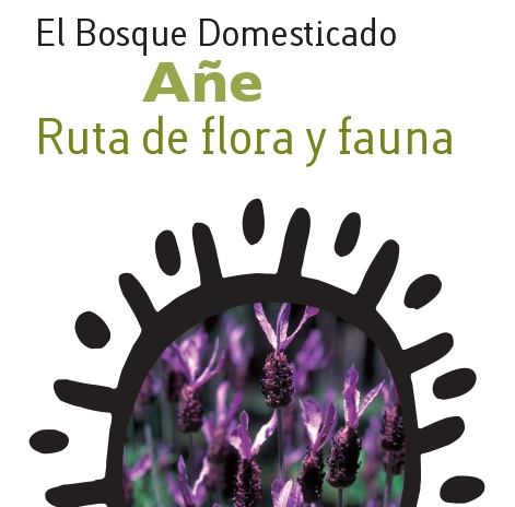 El Bosque Domesticado - Añe