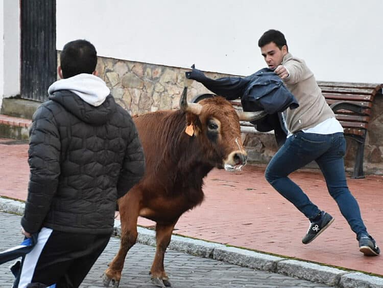Fiestas de la Virgen del Desprecio en Mar en Martín Muñoz de las Posadas